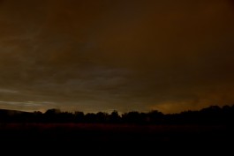 STEFAN REICHMANN - Fotograf