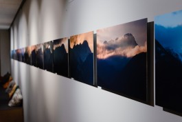 STEFAN REICHMANN - Fotograf