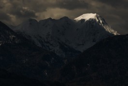 STEFAN REICHMANN - Fotograf