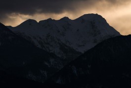 STEFAN REICHMANN - Fotograf