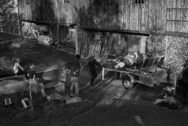 STEFAN REICHMANN - Fotograf