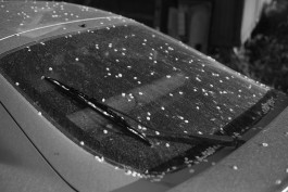 STEFAN REICHMANN - Fotograf