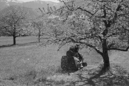 STEFAN REICHMANN - Fotograf