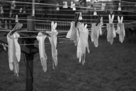 STEFAN REICHMANN - Fotograf