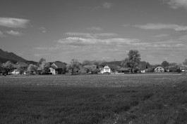 STEFAN REICHMANN - Fotograf