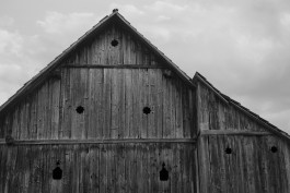 STEFAN REICHMANN - Fotograf