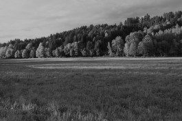 STEFAN REICHMANN - Fotograf