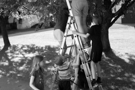 STEFAN REICHMANN - Fotograf