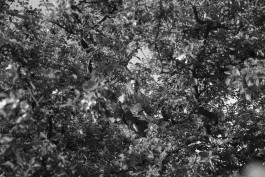 STEFAN REICHMANN - Fotograf