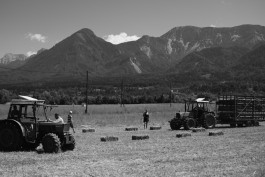 STEFAN REICHMANN - Fotograf