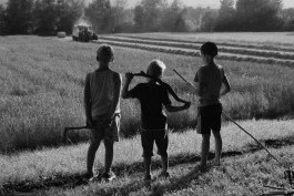 STEFAN REICHMANN - Fotograf