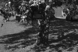 STEFAN REICHMANN - Fotograf