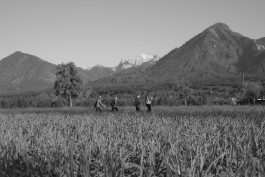 STEFAN REICHMANN - Fotograf