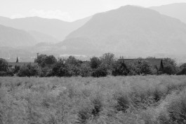 STEFAN REICHMANN - Fotograf