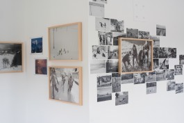 STEFAN REICHMANN - Fotograf