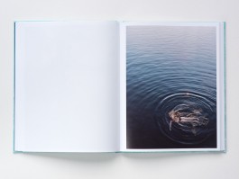 STEFAN REICHMANN - Fotograf