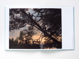 STEFAN REICHMANN - Fotograf