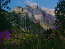 STEFAN REICHMANN - Fotograf