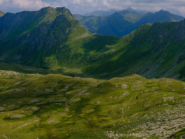 STEFAN REICHMANN - Fotograf