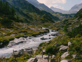 STEFAN REICHMANN - Fotograf